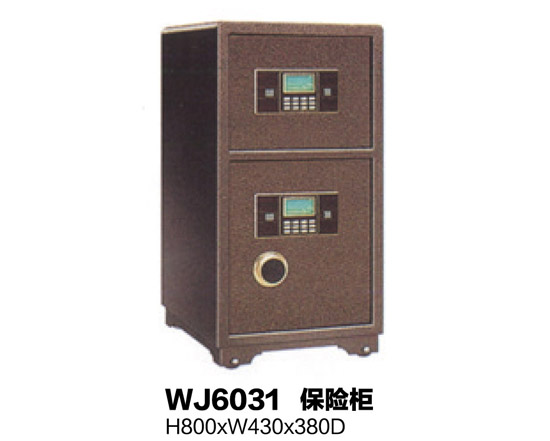 WJ6031