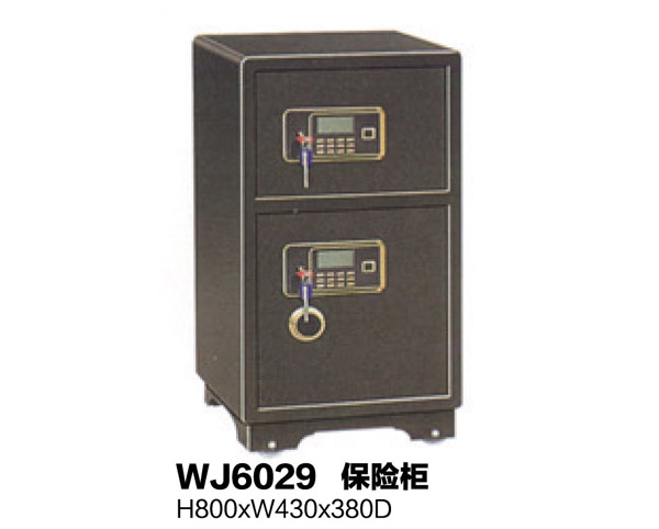 WJ6029